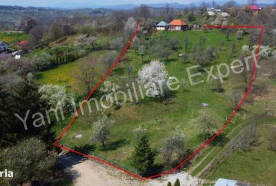 Casă cu 2 camere în Doblea - 2