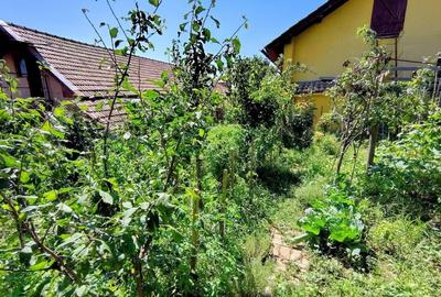 Casa unifamiliala 120 mp utili,  cu 477 mp teren, garaj, Dambul Rotund - 23