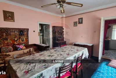 Casă cu 3 camere în Apa - 6