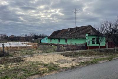 Casă și teren 2177 mp Ortisoara -28ml front-comision 0 - 1