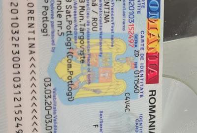 Casă în Potlogi - 4