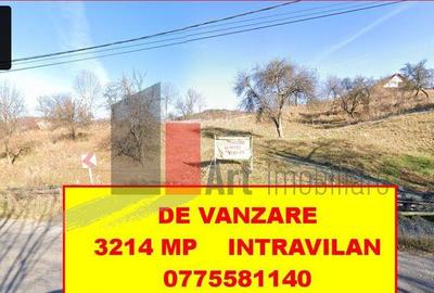 Teren intravilan 3214 mp in Rucar cu deschidere 56 m i... - 9