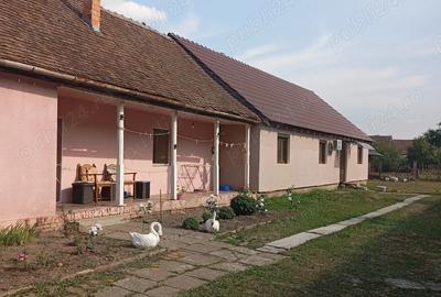 Vand casa Liebling - 2