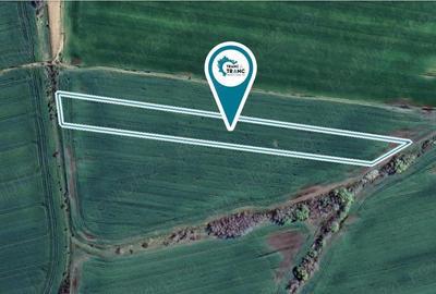 Teren de 11400 mp, în Zimandu Nou - 3