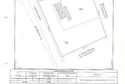 Casă cu 3 camere cu Teren 1000 Mp în Central - 10