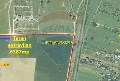 Teren de 6387 mp, în Golești - 3