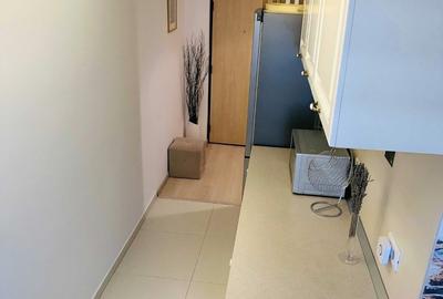 Garaoniera centrala proprie - decebam- muncii + Loc Parcare DB1317 - 4