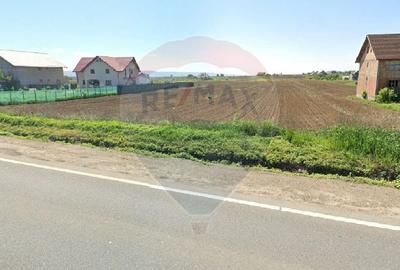 Teren Construcții intravilan de 4514 mp, în Luizi-Călugăra