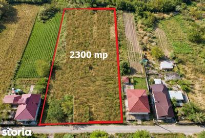 Teren de 2300 mp, în Comana - 6