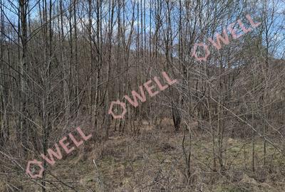 Teren Construcții intravilan de 3000 mp, în Exterior Est - 2