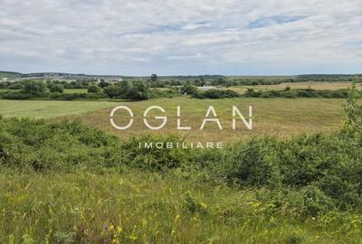 Teren agricol extravilan de 11500 mp, în Cristian - 3