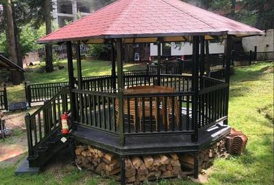 Apartament cu 4 camere în Castelul Peleș - 12