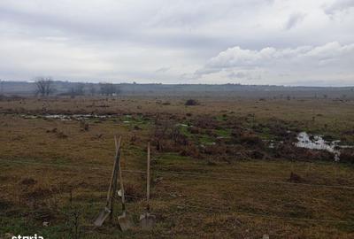 Teren de 2040 mp, în Preajba - 2