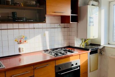 Piata Alba Iulia 3 Camere - Vedere Panoramica - Centrala Apartament - 7