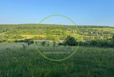 Teren extravilan 550mp  la drum ,spre vanzare in Tocile - 3