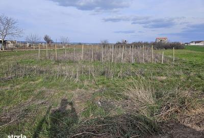 Teren de 1000 mp, în Piatra - 5