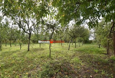 CASA IN ZONA GARII | MARGHITA - 7