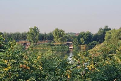 Descriere teren de vânzare – Clinceni, lângă Lacul Nicmar - 10