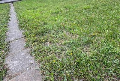 Casa individuala cu teren generos - 5