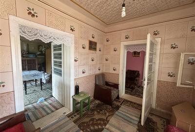 Casă individuală cu 4 camere cu Teren 5526 Mp în Cheșa - 9