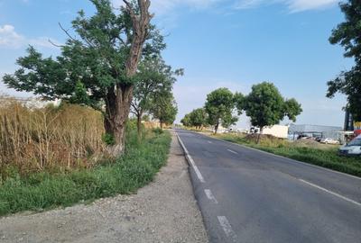 Popesti Frumusani Teren Construibil 560MP - 4