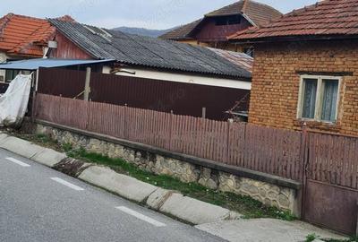 Casă în Jiblea Nouă - 2