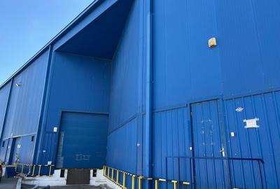 Spațiu industrial, de 780 mp, în Mogoșoaia - 8