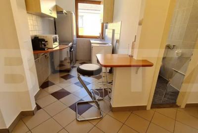 Apartament cu 2 camere decomandat în Gara Mare - 5
