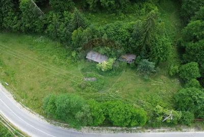 Teren spectaculols de vanzare la baza Muntelui Iezer 11.546 mp c - 4