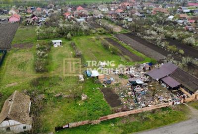 Teren intravilan de 3593 mp, în Parța - 6