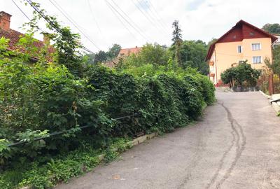 Casă de vânzare în Brașov - 5