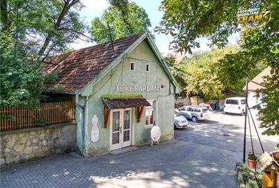 Intravilan,versatil,Central,Sfantu Gheorghe, optim dezvoltari rezidentiale comerciale - 1