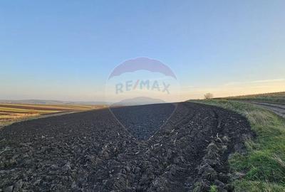 Teren de 30077 mp, în Stroiești - 10