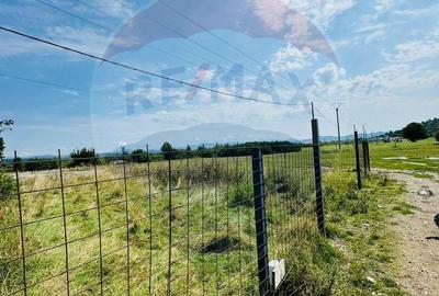 Teren de 1042 mp, în Central