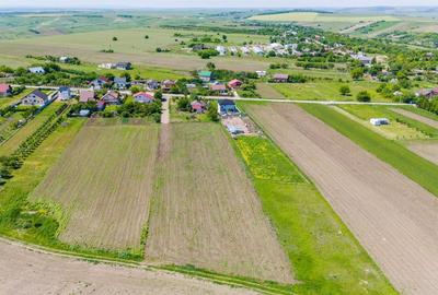 Teren intravilan rezidential Horlesti Rediu parcele - 6