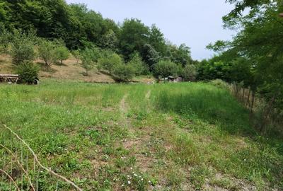 Teren intravilan 2000 MP, zona ANL, panorama deosebita - 1