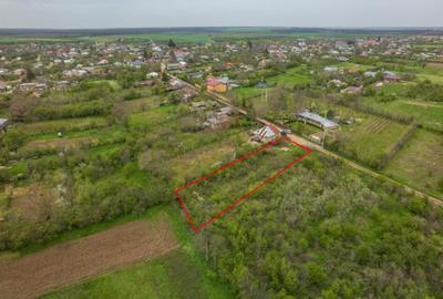 LETCA NOUA, TEREN CONSTRUCTII 1184 MP, FRONT 21 M ! - 15