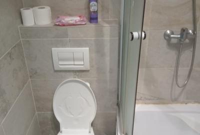 Apartament cu 2 camere decomandat, mobilat în Palat - 6