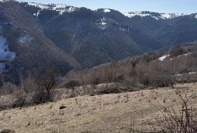 Spațiu comercial, în Mărișel - 2