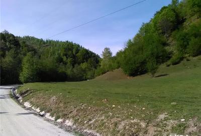 Teren de 5500 mp, în Pietroasa - 7