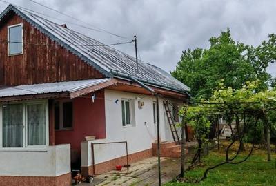 Casă cu 3 camere în Vișan - 3