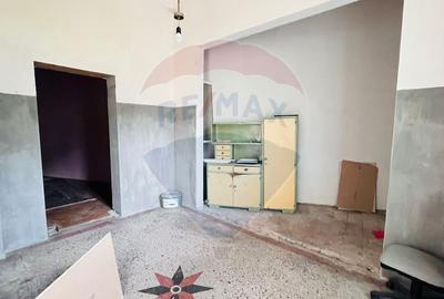 Casă individuală cu 3 camere cu Canalizare în Eminescu - 10