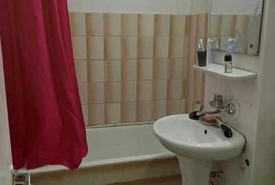 Garsonieră semidecomandată în Valea Rosie - 3