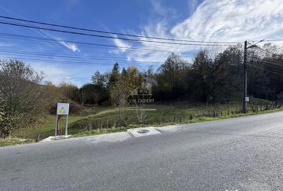 Teren de 13167 mp, în Bughea de Sus - 18