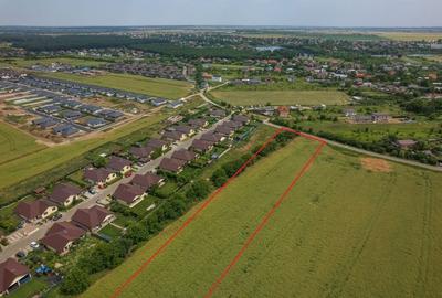 Teren intravilan, Balotești, Strada Cameliei 36, 10.000 mp - 6