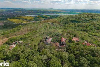 Casă cu 4 camere cu Teren 1425 Mp în Podgoria - 5