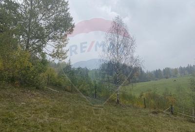 Teren Construcții intravilan de 8119 mp, în Călățele - 18