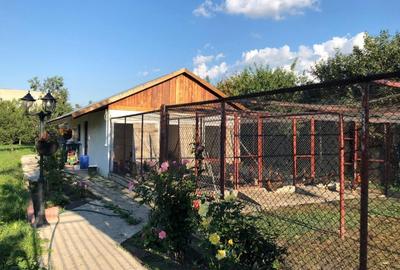 Braytim casa parter (3cam) + casa P+1E rosu (5cam) - teren 1942 mp - 15