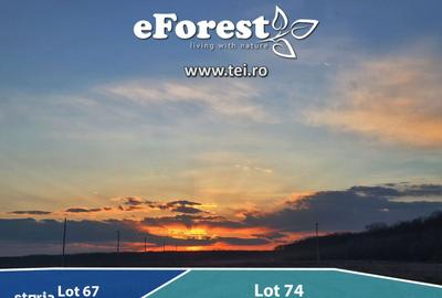 Spațiu comercial, în Crevedia - 8