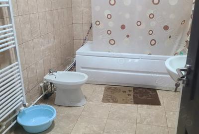 Casă cu Teren 7066 Mp în Dobroteasa - 3